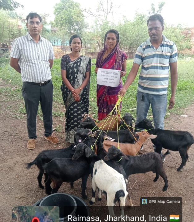 गम्हरिया में मुख्यमंत्री पशुधन विकास योजना के तहत 13 लाभुकों को मिली बकरी पालन इकाई 1001274967