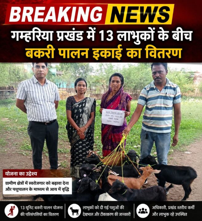 गम्हरिया में मुख्यमंत्री पशुधन विकास योजना के तहत 13 लाभुकों को मिली बकरी पालन इकाई file 00000000db147208972b63d170ccc20b compressed